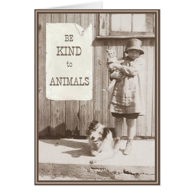 Cartão Gatinhos de placa PUPs 10 (Frente)