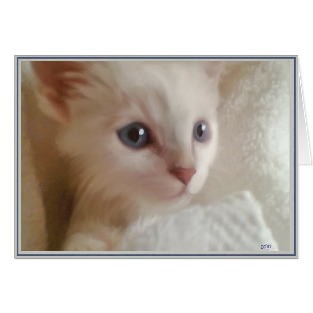 Cartão Gatinhos de placa PUPs 11 (Frente Horizontal)