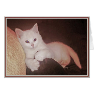 Cartão Gatinhos de placa PUPs 14