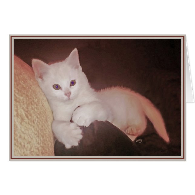 Cartão Gatinhos de placa PUPs 14 (Frente Horizontal)