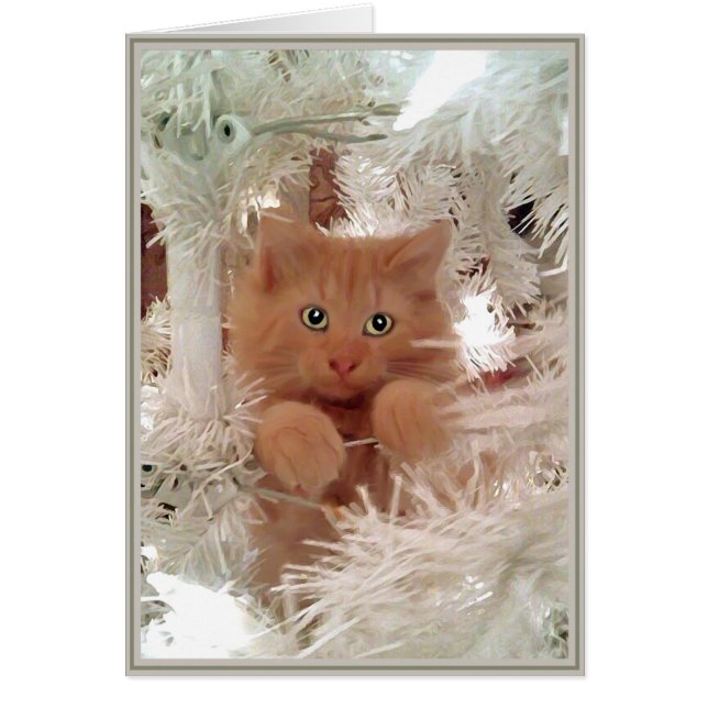 Cartão Gatinhos de placa PUPs 16 (Frente)