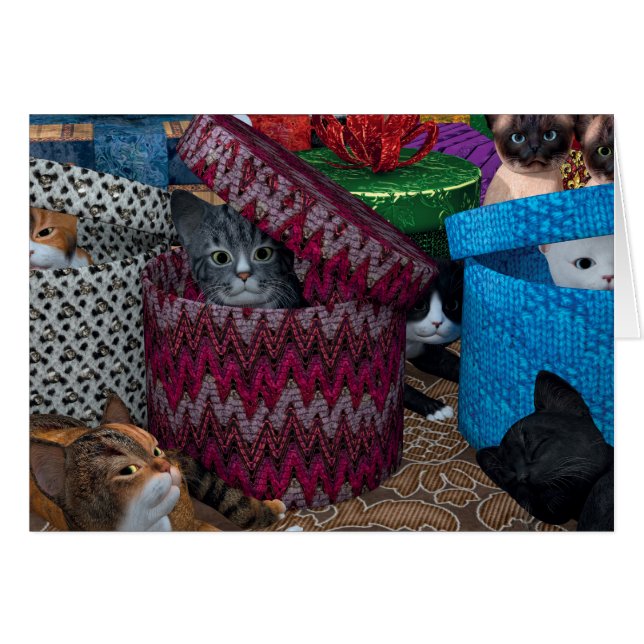 Cartão Gatinhos Em Caixas (Frente Horizontal)