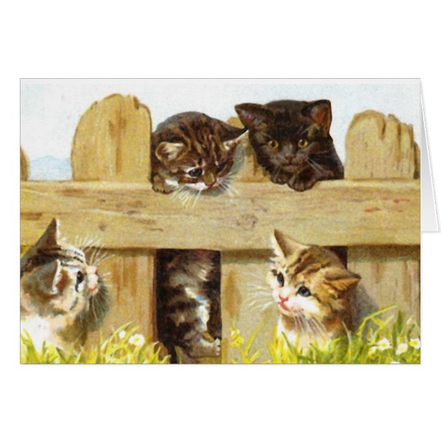 Cartão Gatinhos em cerca (Frente Horizontal)