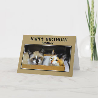 Cartão Gatinhos em uma caixa Mãe Feliz Aniversário