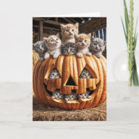 Gatinhos Na Pumpkin Do Halloween