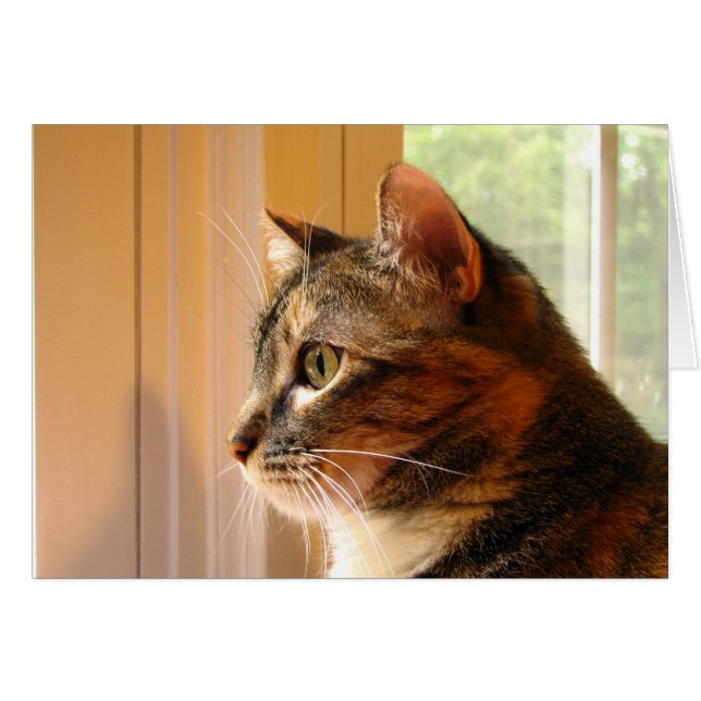 Cartão Gato (Frente Horizontal)