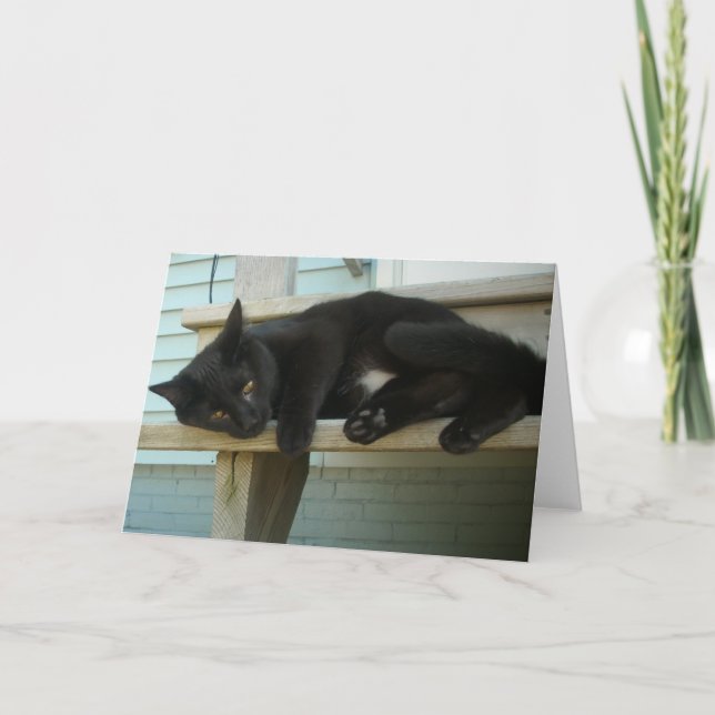 Cartão Gato (Frente)