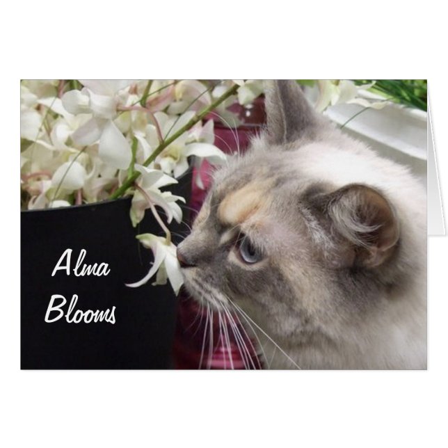 Cartão Gato 1 (Frente Horizontal)