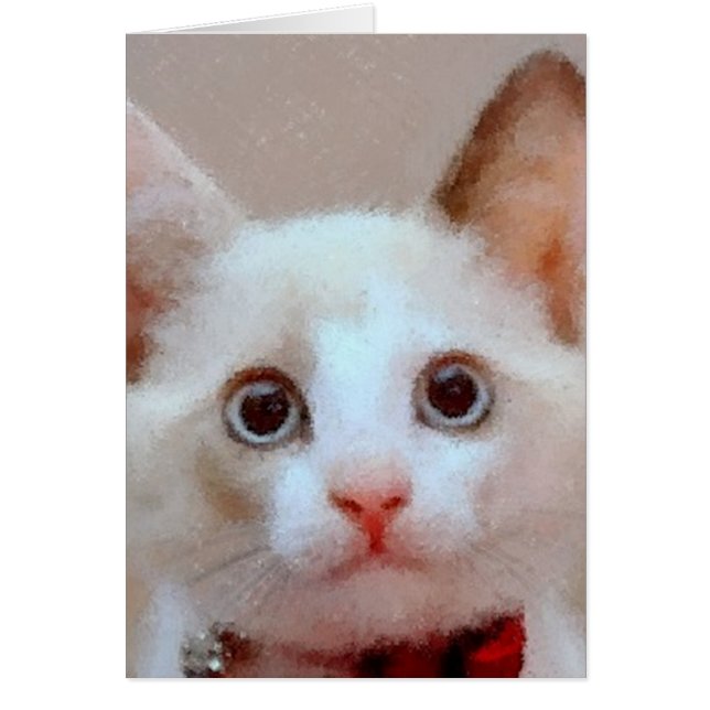 Cartão gato 3 (Frente)