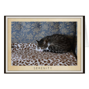 Cartão Gato adormecido - Serenidade