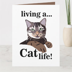 Cartão Gato Animal de Estimação Engraçado
