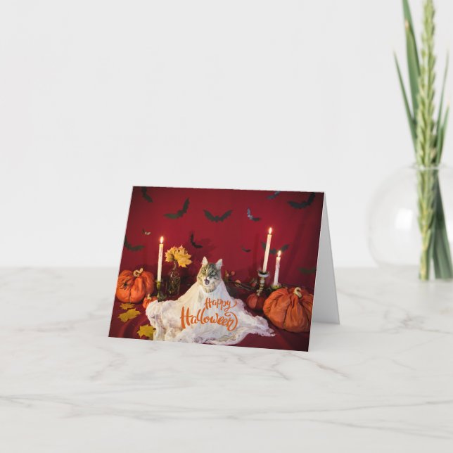 Cartão Gato Assustador em Dia de as Bruxas engraçado (Frente)