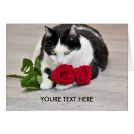 Cartão Gato bonito com a rosa vermelha