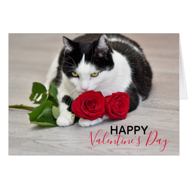 Cartão Gato bonito com a rosa vermelha (Frente Horizontal)