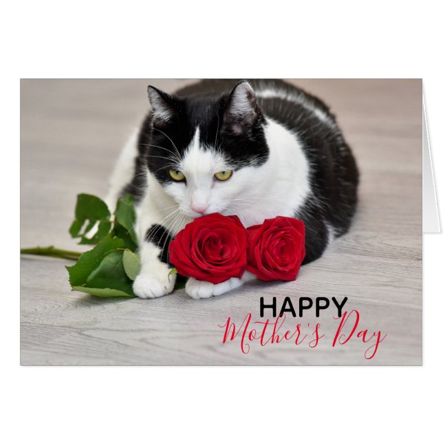 Cartão Gato bonito com a rosa vermelha (Frente Horizontal)