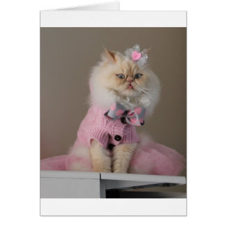 Cartão Gato bonito no Suor Rosa