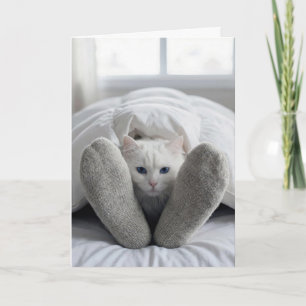 Cartão Gato Branco de Aniversário Debaixo de um Edredão