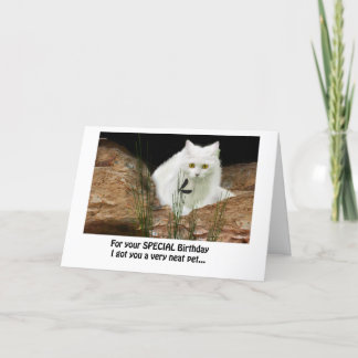 Cartão gato branco e libélula cortados, texto de aniversá