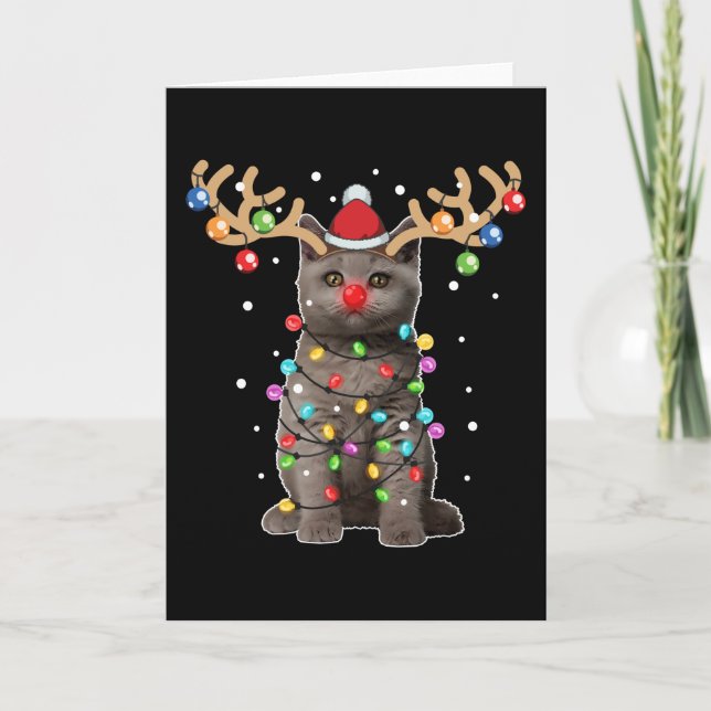 Cartão Gato britânico fofo de pêlo curto Festa de Natal e (Frente)