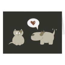 Gato Cachorro Engraçado Amor À Primeira Vista