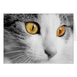 Cartão Gato Cinza e Branco