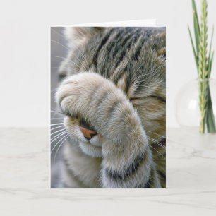Cartão Gato Cinza Tabby de Aniversário Atrasado
