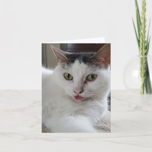 Cartão Gato com a língua para fora (Frente)