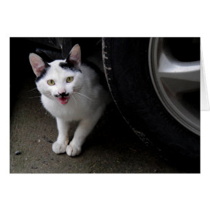 Cartão Gato com bigode
