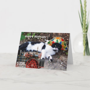Cartão GATO COM CHAPÉU HARLEQUIM Aniversário Feliz