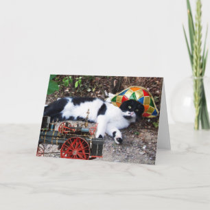 CARTÃO GATO COM CHAPÉU HARLEQUIM COM LOCOMOTIVA A VAPOR