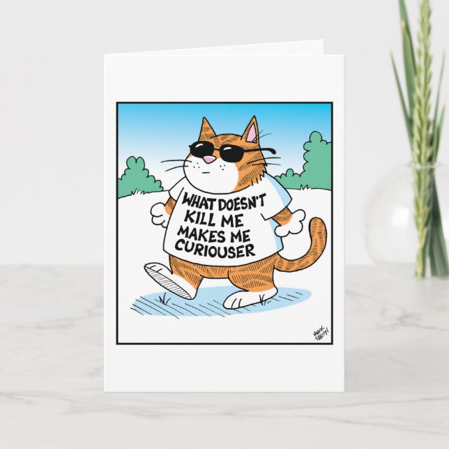 Cartão Gato Curioso  (Frente)