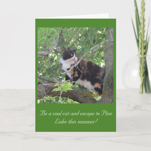 Cartão Gato da cidade amando Pine Lake árvores! (Frente)