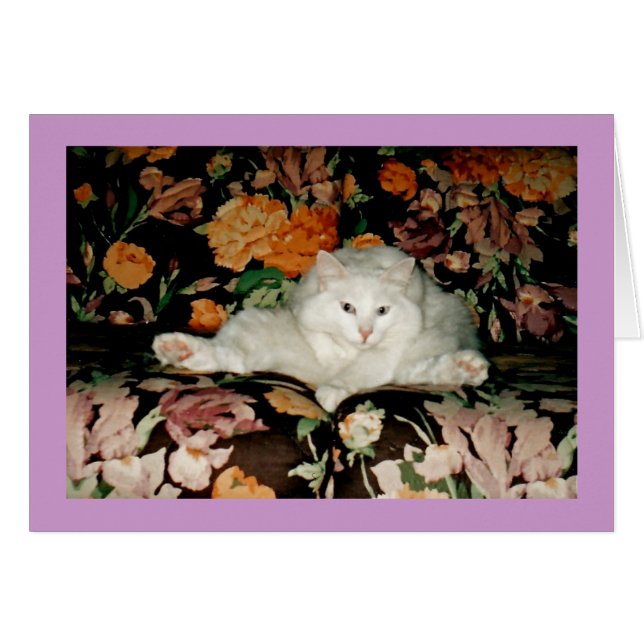 Cartão Gato da ioga (Frente Horizontal)