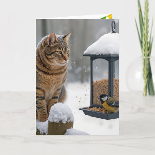 Cartão Gato de Aniversário Observando um Pássaro no Comed