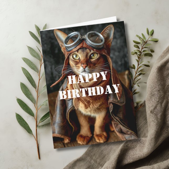 Cartão Gato de Aniversário Piloto Aviador Legal Divertido (Criador carregado)