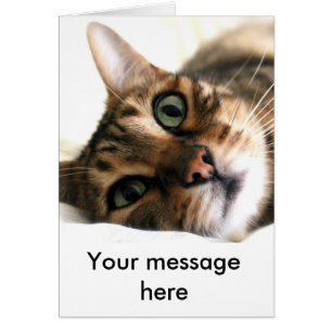 Cartão Gato de Bengala Bonito na Placa Personalizada de C
