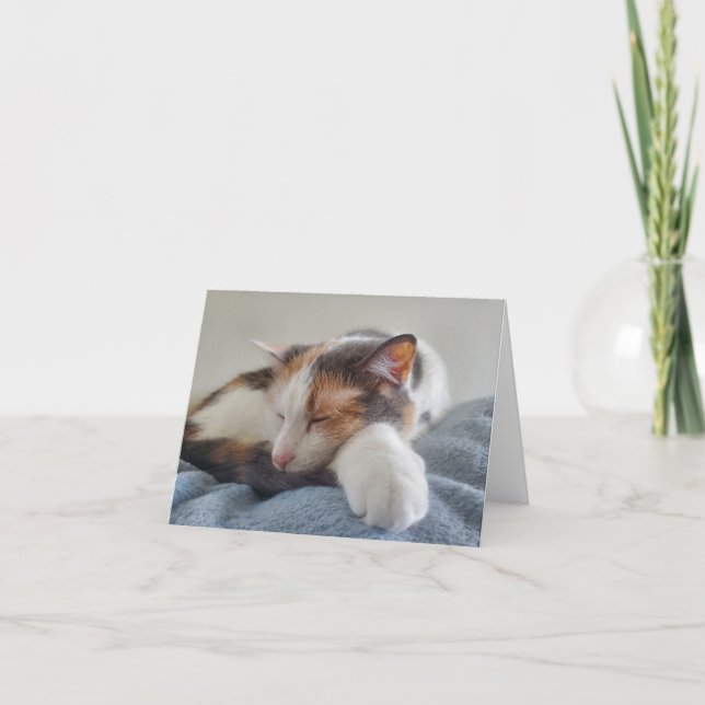 Cartão Gato de cálcio dormindo (Frente)