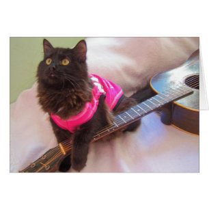 Cartão Gato de camisa ACDC