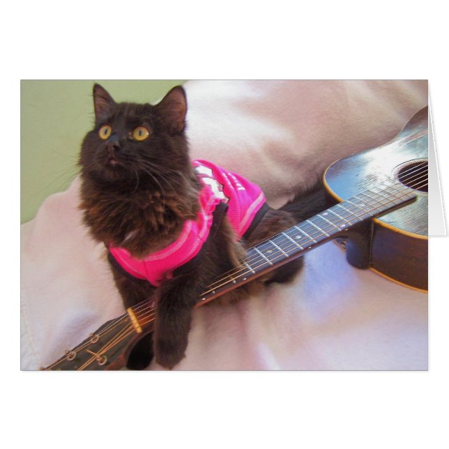 Cartão Gato de camisa ACDC (Frente Horizontal)