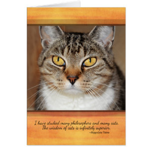 Cartão Gato de gato malhado cinzento