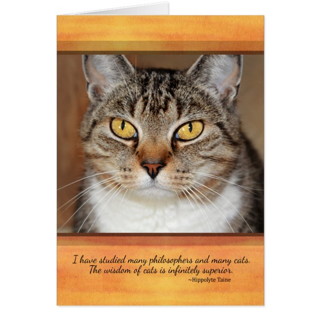 Cartão Gato de gato malhado cinzento (Frente)