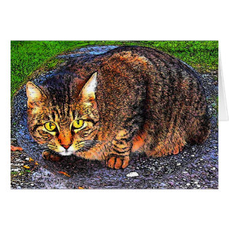 Cartão Gato de gato malhado grande