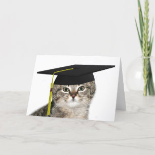 Cartão Gato de graduação