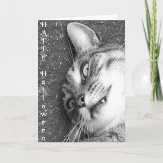 Cartão Gato de Halloween