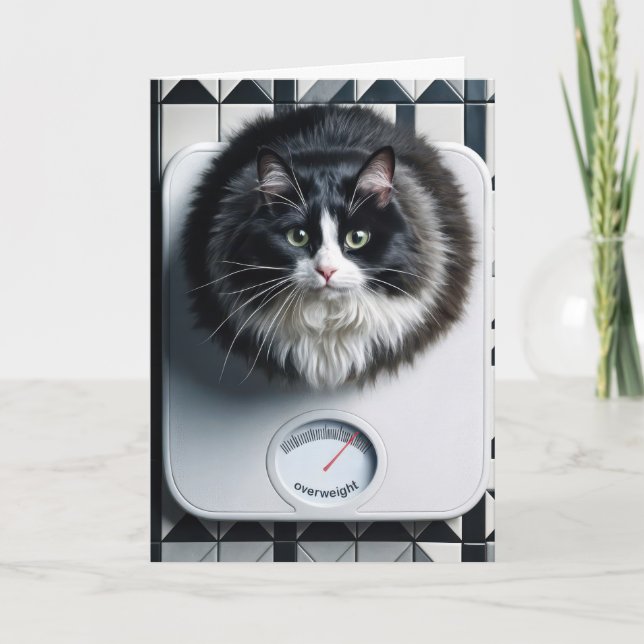 Cartão Gato de Humor de Perda de Peso numa Balança (Frente)
