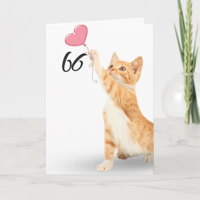 Cartão gato de mesa de 66 anos (Frente)