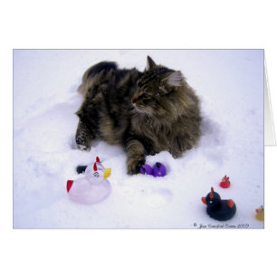 Cartão Gato de Neve Feroz