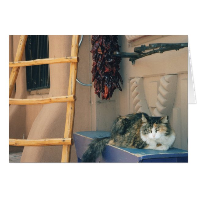 Cartão Gato de New mexico (Frente Horizontal)