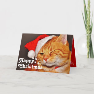 Cartão Gato de Olhar Engraçado Papai Noel & Feliz Natal C