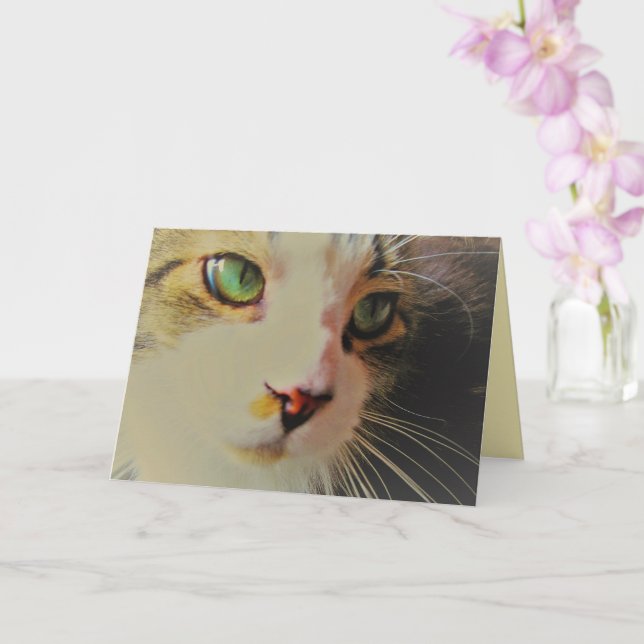 Cartão Gato de Olhar Passageiro com Olhos Verdes (Orquídea)